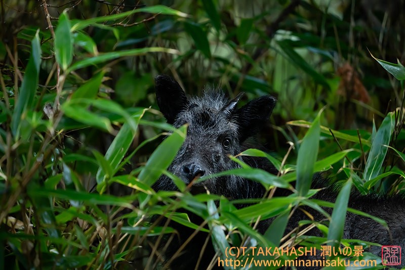 ../Images/7R251025 (66).jpg